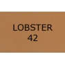 Lobster 42